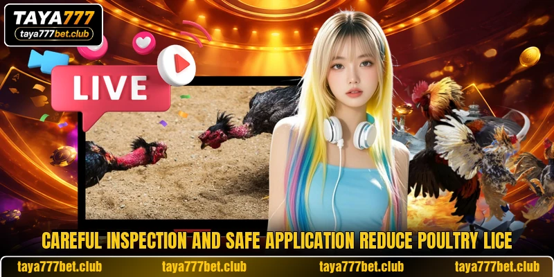 Careful inspection and safe application reduce poultry lice Careful inspection and safe application reduce poultry lice
