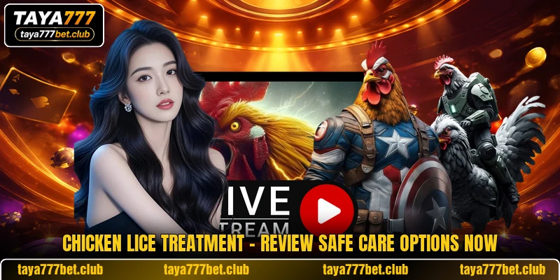 Chicken Lice Treatment - Review Safe Care Options Now