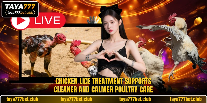 Chicken Lice Treatment supports cleaner and calmer poultry care Chicken Lice Treatment supports cleaner and calmer poultry care