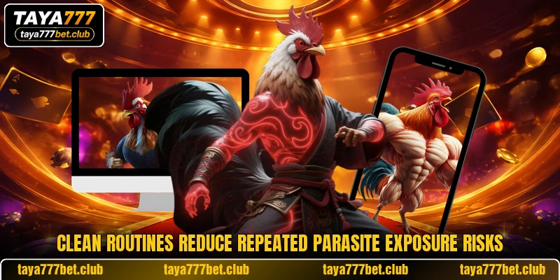 Clean routines reduce repeated parasite exposure risks Clean routines reduce repeated parasite exposure risks