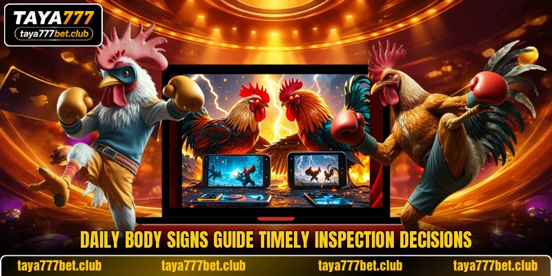 Daily body signs guide timely inspection decisions Daily body signs guide timely inspection decisions