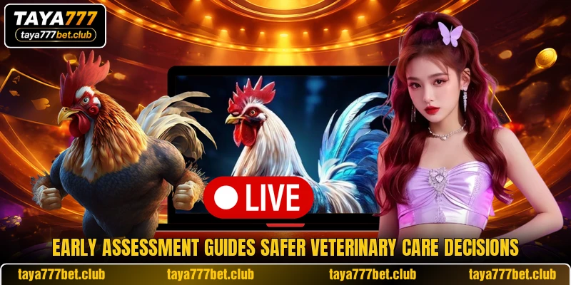 Early assessment guides safer veterinary care decisions Early assessment guides safer veterinary care decisions