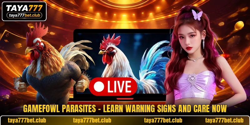 Gamefowl Parasites - Learn Warning Signs And Care Now